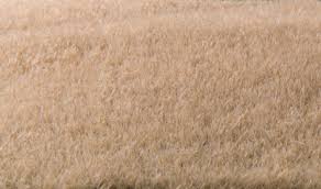 WOODLAND SCENICS Static Grass Straw 2mm