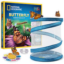 NATIONAL GEOGRAPHIC Butterfly Growing Kit