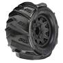 PROLINE Dumont 2.8 Sand/Snow MTD Raid Blk Whls F/R