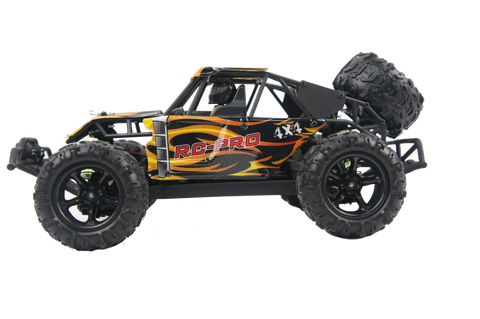 RC PRO Upgraded 4x4 brushless  side-by-side