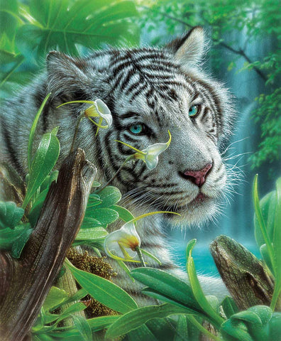 SUNSOUT 1000-PIECE  PUZZLE White Tiger of Eden